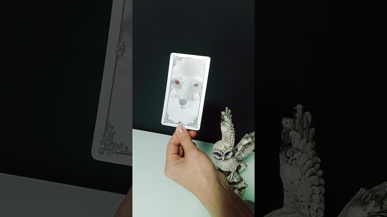 🦊 19 ЯНВАРЯ КАРТА ДНЯ! 