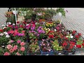 Vlog 288 - Уникальный Петровский рынок и цветочное царство