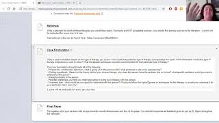 Case Formulation Instructions