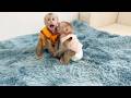 Naughty Twin FIDO & Tauch Super Energy Play After Done Drink Milk