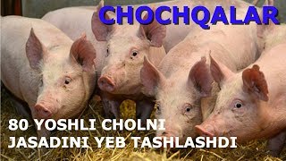 ODAMXO'R CHO'CHQALAR