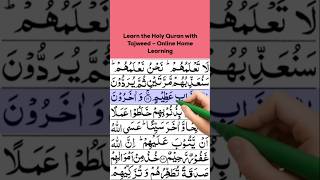 Female &amp; Male Quran Teachers Available#QuranTeacherOnline#IslamiClasses#LearnQuranOnline