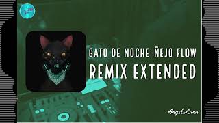 Gato De Noche REMIX EXTENDED  Ñejo Flow & Bad Bunny  DJ ANGEL LUNA