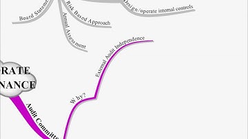CIMA P3 Lecture 10 Corporate Governance.avi
