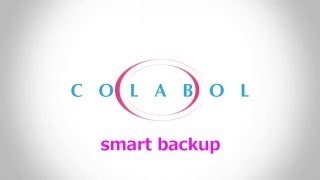 Google Apps Backup COLABOL screenshot 3