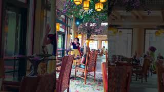 Storybook Dining at Artist Point 🏰✨ | Disney World Signature Dining Experience with Snow White