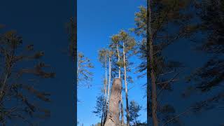 quiet, blue-skyed winter day