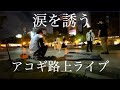 【感動】突然プロギタリストがジブリの曲をメドレーで弾いたら街中がうっとり...