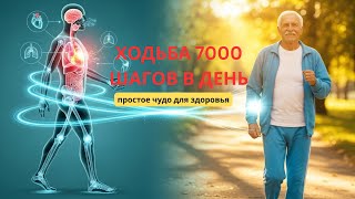 Какую пользу на самом деле приносит вашему организму ходьба в 7000 шагов в день?