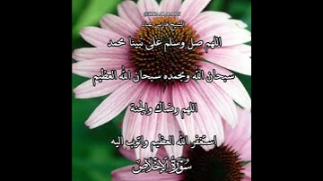 سورة الإخلاص | الشيخ فارس عباد،استغفر الله العظيم واتوب اليه، تلاوه خاشعه(3)