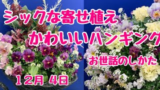 シックな寄せ植えとかわいいハンギングバスケットお世話のしかた