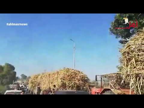 أهالي نصر النوبة وكوم أمبو يستغيثون من جرارات القصب الموت قريب مننا