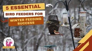 5 Essential Bird Feeders For Winter Feeding Success