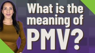 Information What is the meaning of PMV Update
