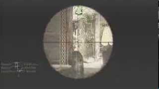 Split Feed & Update!