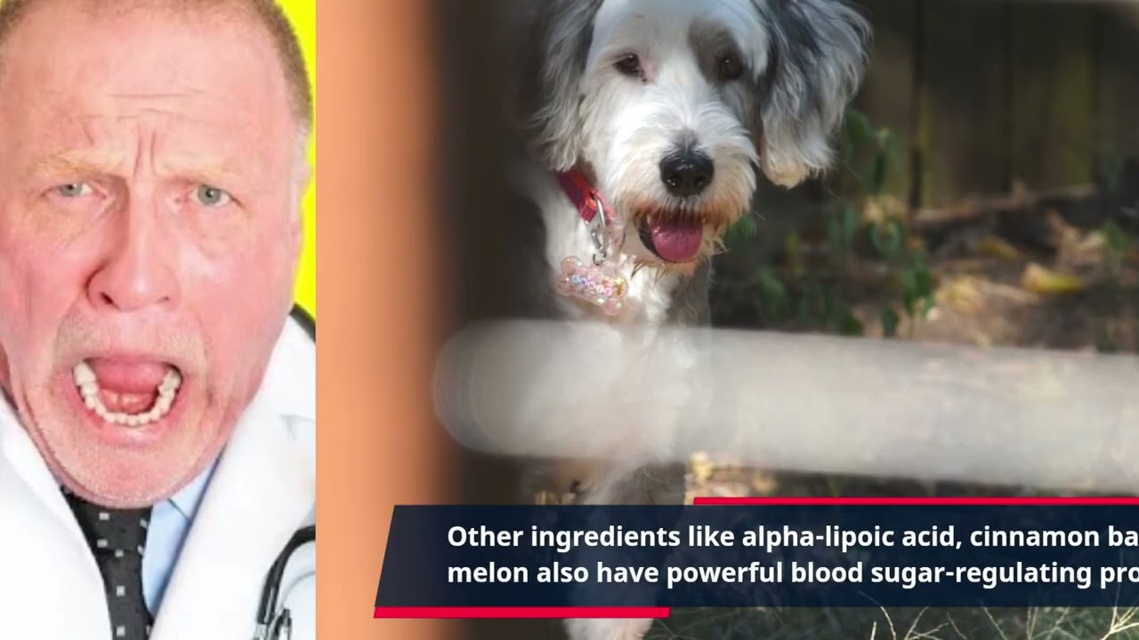 Glucotrust “”Unlock the Power of GlucoTrust: Your Trusted Solution for Better Blood Sugar Management””