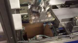 DDS Conveyor Egg Tray Packer for Moba 550 6