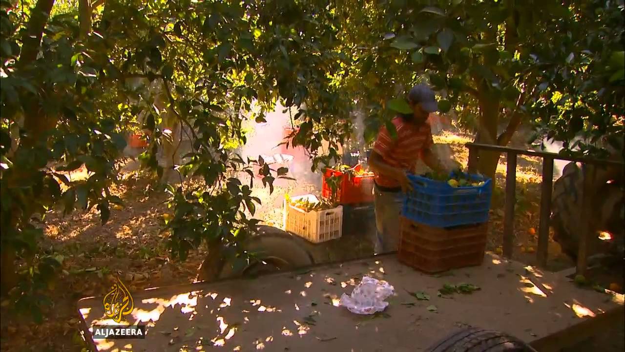 تفشي الملاريا في اليونان - قناة الجزيرة البلقان