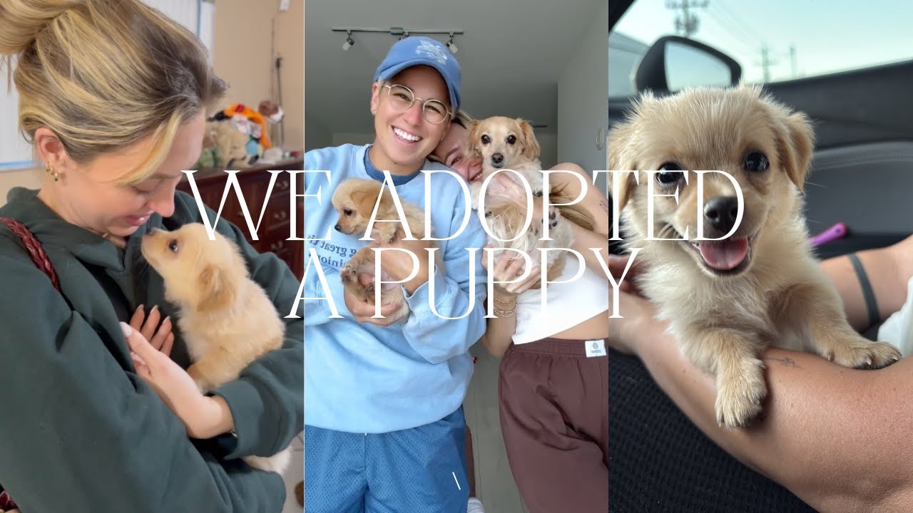 WE ADOPTED A PUPPY! adoption day vlog + getting adjusted at home - YouTube