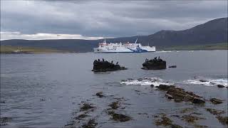 Hamnavoe arriving into Stromness August 2018