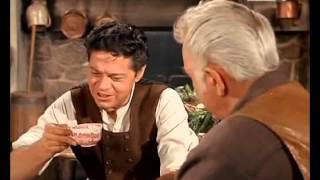 Bonanza 134 PL (s4e34)