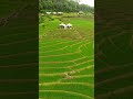 Sapa, Vietnam - The Best Value Destination in Asia