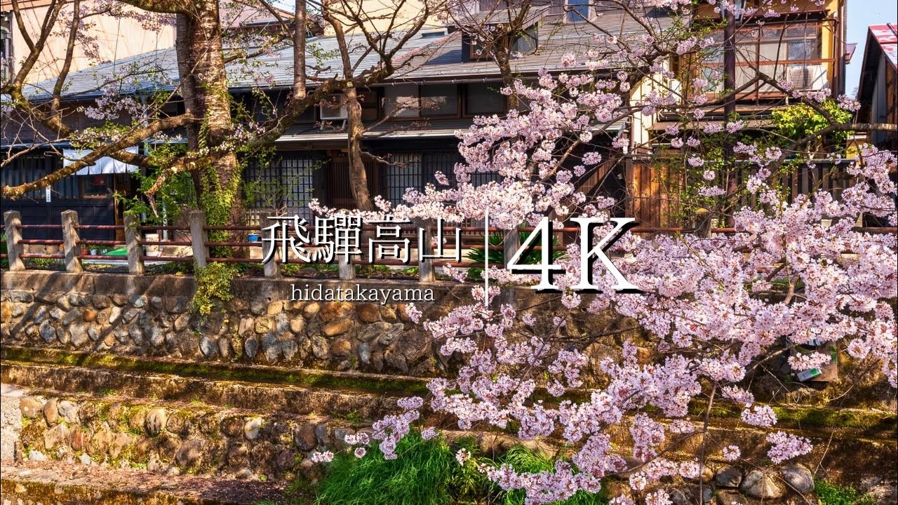 【桜満開】飛驒高山の古い町並みを訪ねて - JAPAN in 4K