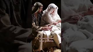 Jesus was the Biological Son of Mary