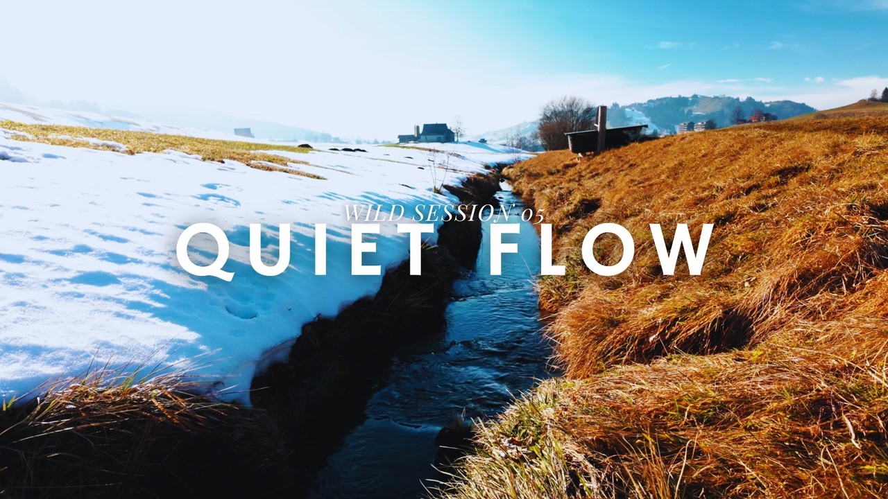 Relaxing Piano Music with Creek Sounds for Study, Focus & Prayer |  Wild Session No. 05 - QUIET FLOW
