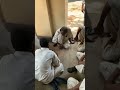 The World Inside The Jail Viral Jailbreak Jail India Indian 