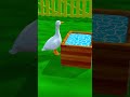 Colorful eggs and one determined goose #satisfying #wholesome #shorts