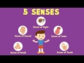 Mastering The Five Senses And Their Functions