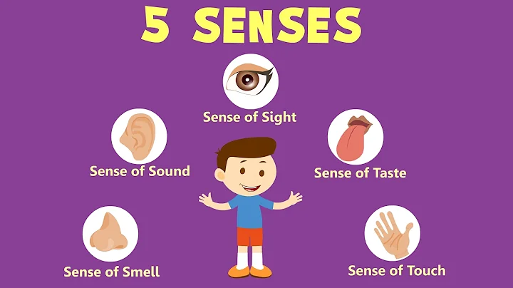 Human Sense Organs | Learn about five Senses - DayDayNews