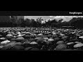 另一個香港 - HONGKONG