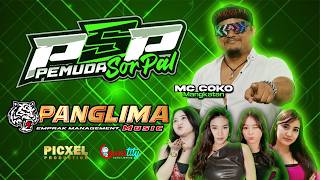🔴LIVE STREAM PANGLIMA MUSIC - HAPPY PARTY PSP - PEMUDA SOR PAL - PRIVATE PARTY