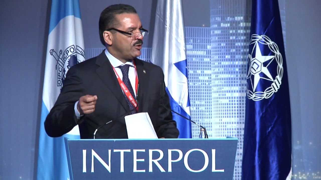 Image result for Interpol Ronald Noble