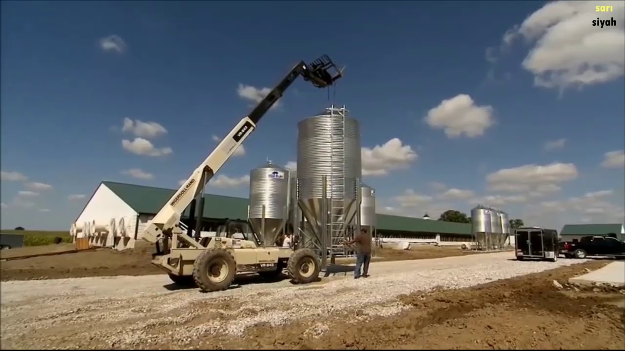 Modern Tavuk Çiftliği