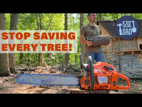 The One Tree I Never Cut Down