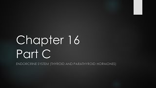 Chapter 16 Part C (Endocrine System - Thyroid and Parathyroid)