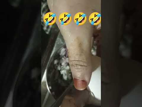 #nobatidao