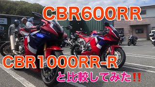 新型CBR600RRとCBR1000RR-Rを比較！