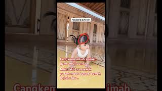 Cunda Di Bawokno Mbah Soimah