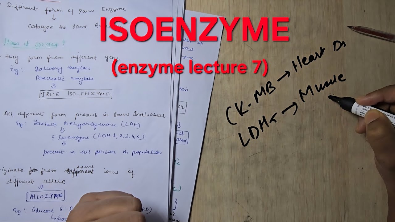 Iso enzyme | mbbs 1st year biochemistry 