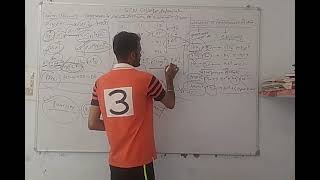 Proton affinity