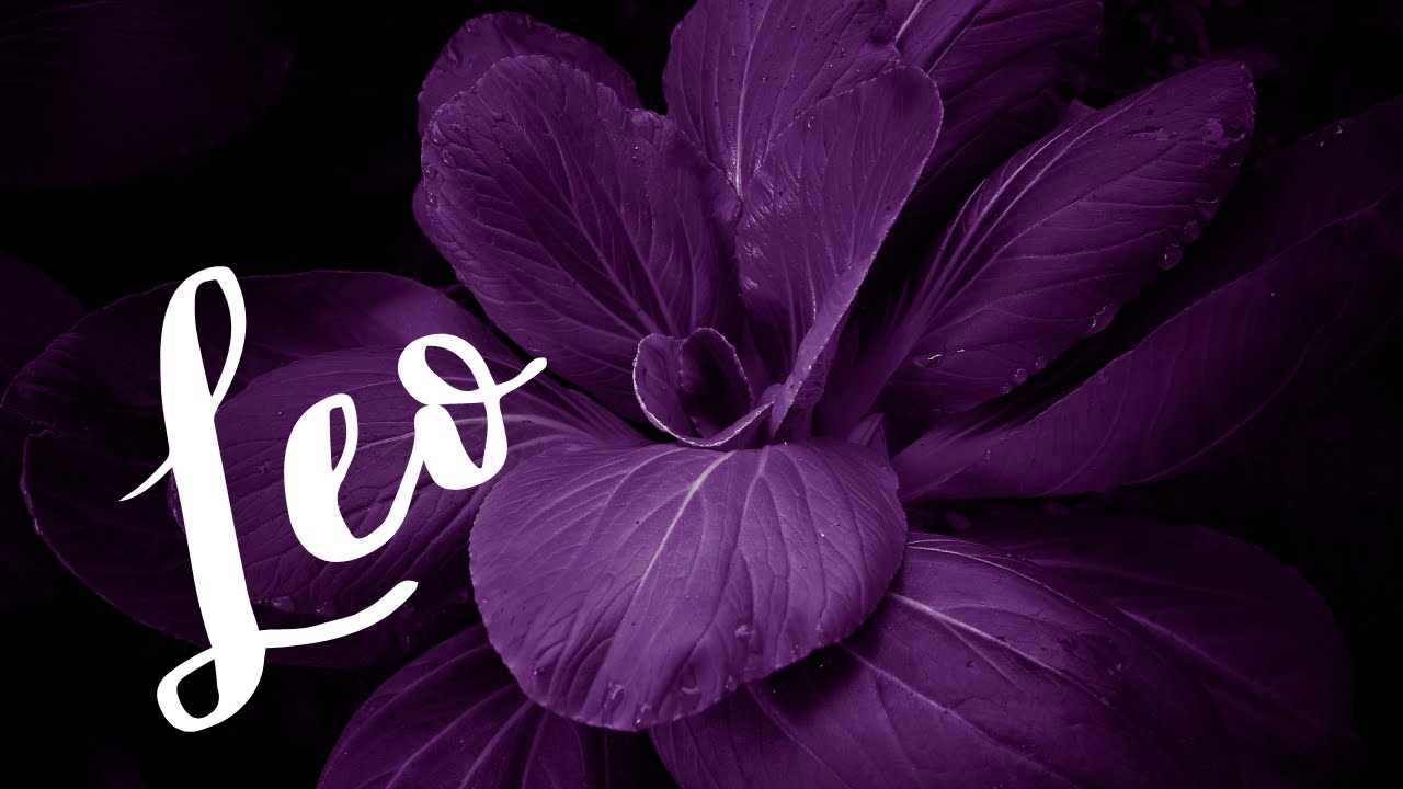 Leo💜You'll Marry This Person - Life Is About To Change🔮Unconditional Love & Balance💜Energy Check