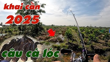 Câu Lure Cá Lóc ✅ Khai Cần Đầu Năm 2025 Và Cái Kết | Tâm Râu Vlog #365