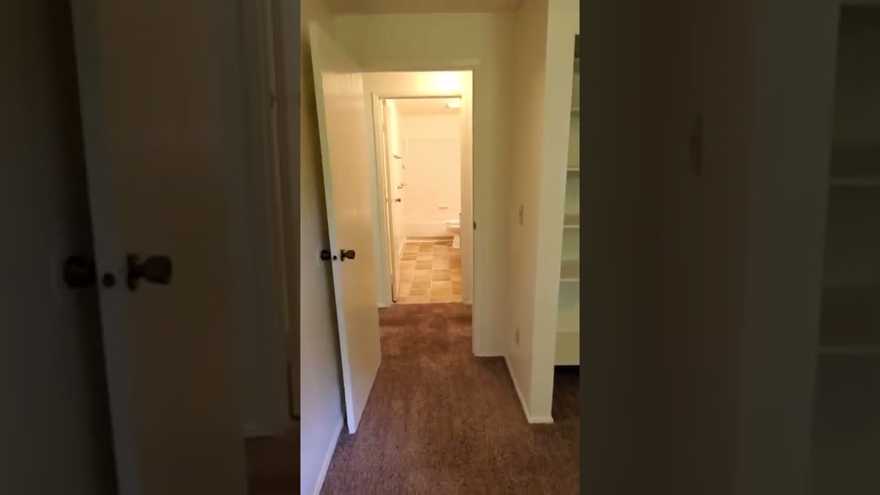 Patricia Street, Manchester YouTube