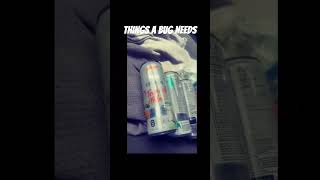 it’s a whole new world #bug 🌱 🧞‍♂️