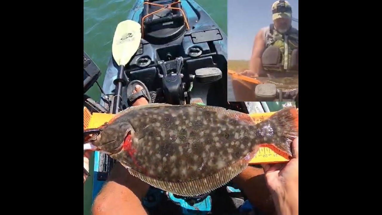 Doormat 24" Flounder - Backwater Fluke - 