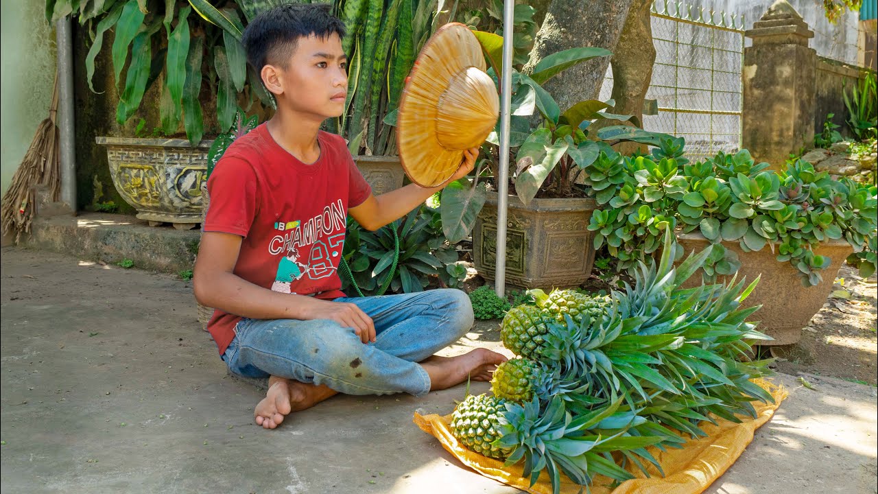 Orphan boy. Harvest pineapples and sell them at the market. Build roads ...